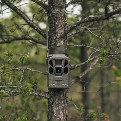 Image for choice number 3